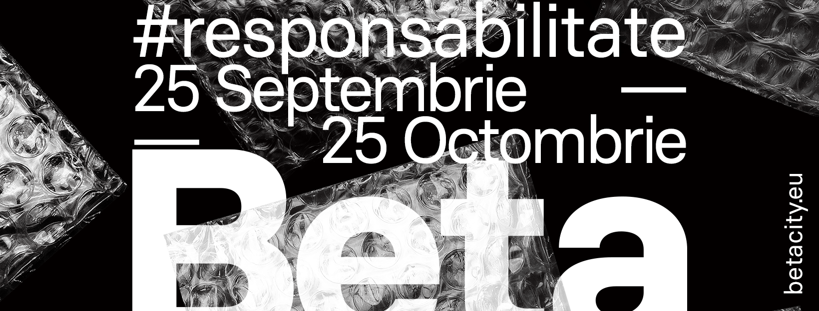 4 săptămâni despre responsabilitate, la Timișoara, cu ocazia Bienalei de arhitectură - Beta 2020