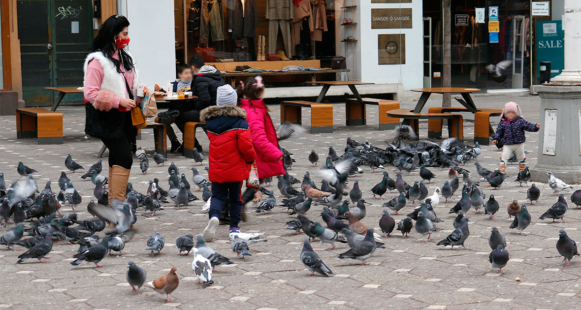 Când va avea loc dezbaterea publică privind interzicerea hrănirii porumbeilor în Timișoara. Orice timișorean poate să participe