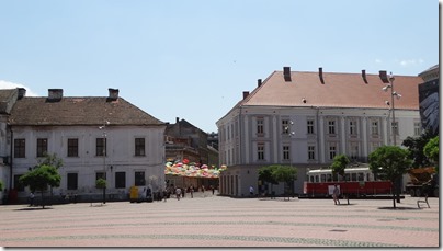 copaci