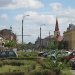 Vineri 25.08.2023–Informații utile sau mai puțin utile pentru timișoreni Cover_info