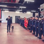 Momente emoționante la ISU Timiș. Câinele de serviciu „Shiba” a fost trecut în rezervă Shiba_caine_pompieri-1
