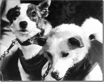belka_and_strelka_400px-1
