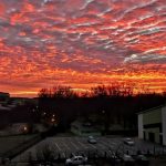 Luni 06.11.2023–Informații utile sau mai puțin utile pentru timișoreni Cover_info
