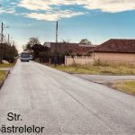 starada_Albastrelelor