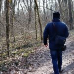 Timișorenii își exprimă opiniile despre viitorul Pădurii Verzi: Amenajare ca Pădure Parc Padurea_Verde_p