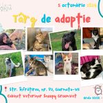 targ_adoptii