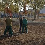Spatiu_verde_Semicerc_2