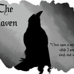 raven