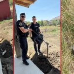 jandarmi_salvare_sarpe