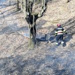 incendiu_vegetatie-2